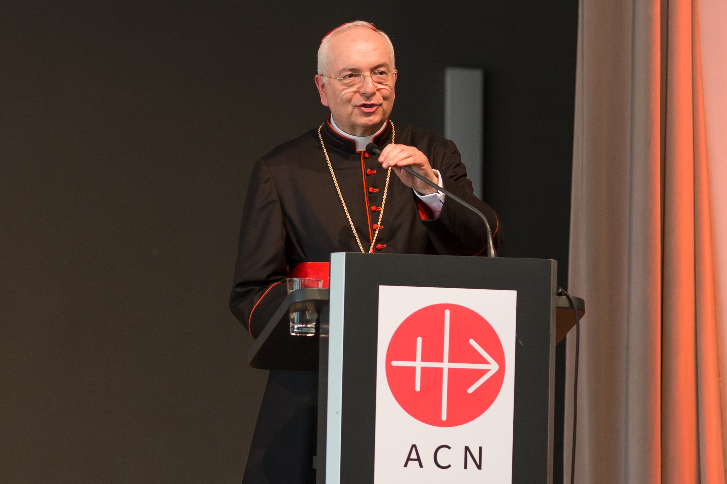 Peregrinación ACN Año Santo