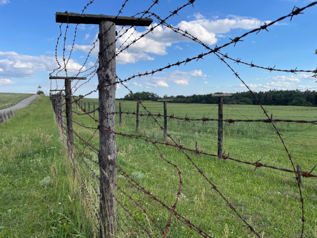 Informe ACN 2025 religiosos.